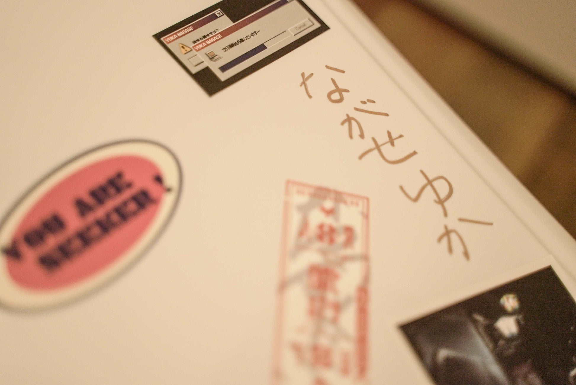 【10個限定生産】完全オーダーメイド 長瀬有花「SEEK」スーツケース