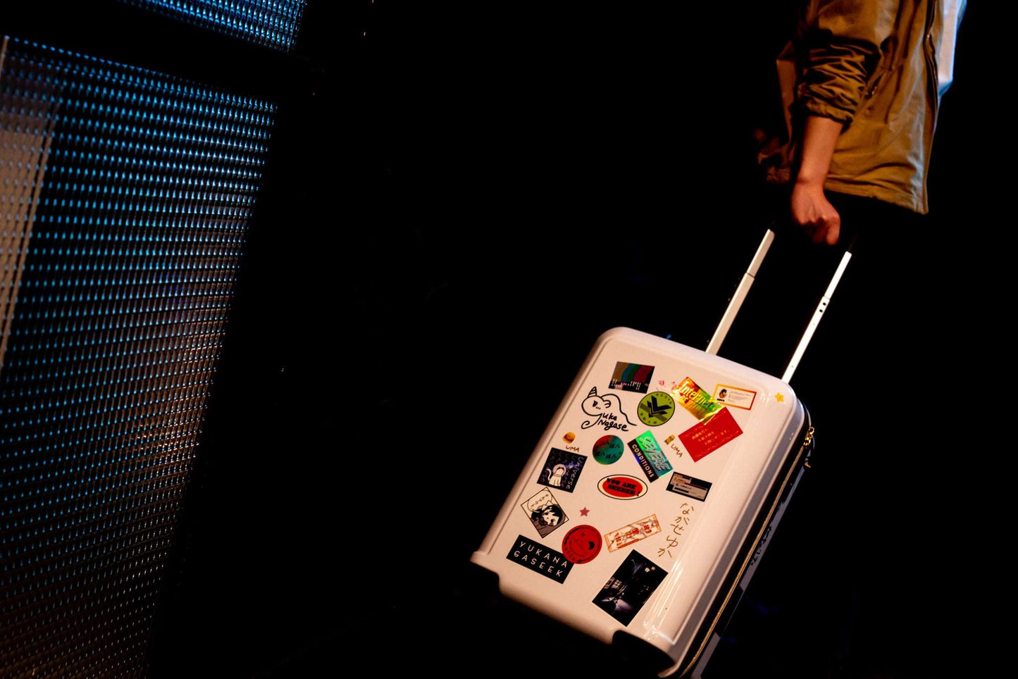 【10個限定生産】完全オーダーメイド 長瀬有花「SEEK」スーツケース